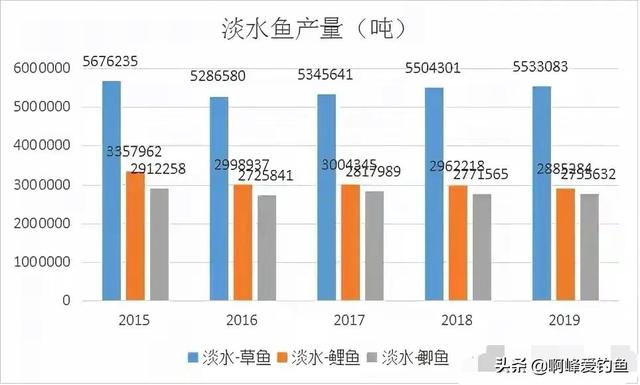 草鱼的“无奈”，年产卵达130万粒，吃草就能成长，野外却很稀有