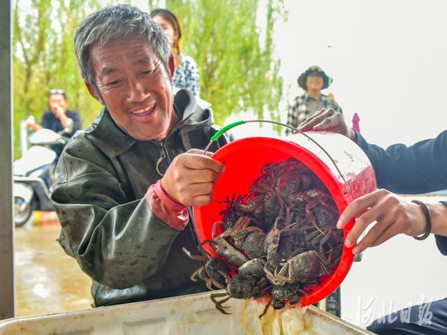 河北唐山：稻香蟹肥正当时 助民增收产业兴