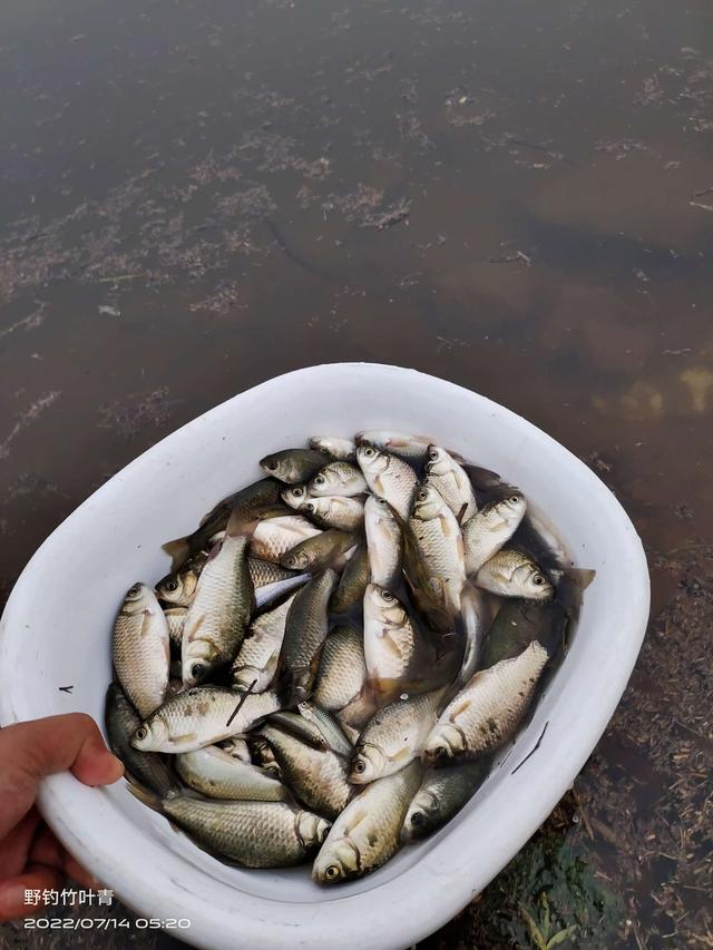 总结野钓经验获！一招让你冷热不会空