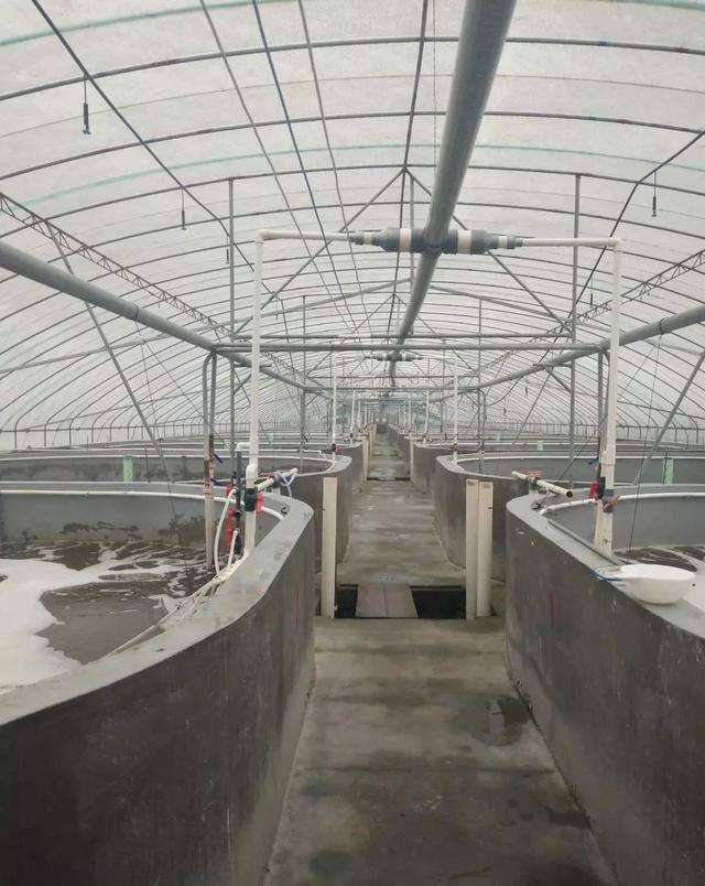 工厂化水产养殖过程——养殖用水处理技术