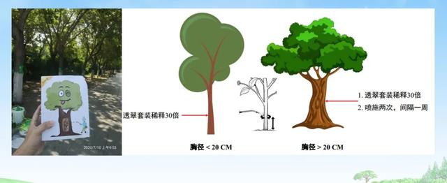 「实用技术」谁让天牛不再“牛”了？