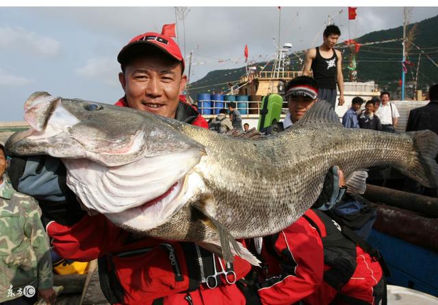 「技巧篇」靠海的钓友海钓鲈鱼应该知道的五个钓鱼技巧！