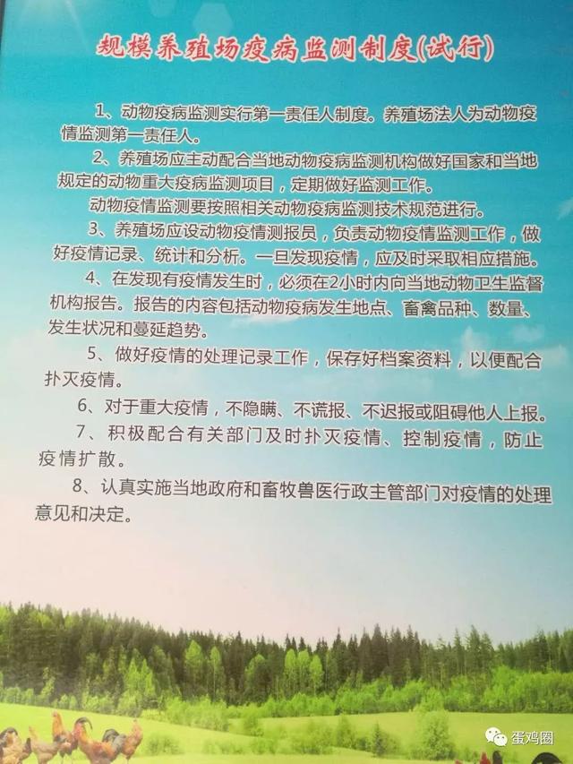 规模化蛋鸡养殖场各种规章规模