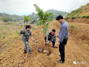 泰昌养殖公司(横州市马山镇：“人大代表+”赋能乡村振兴)