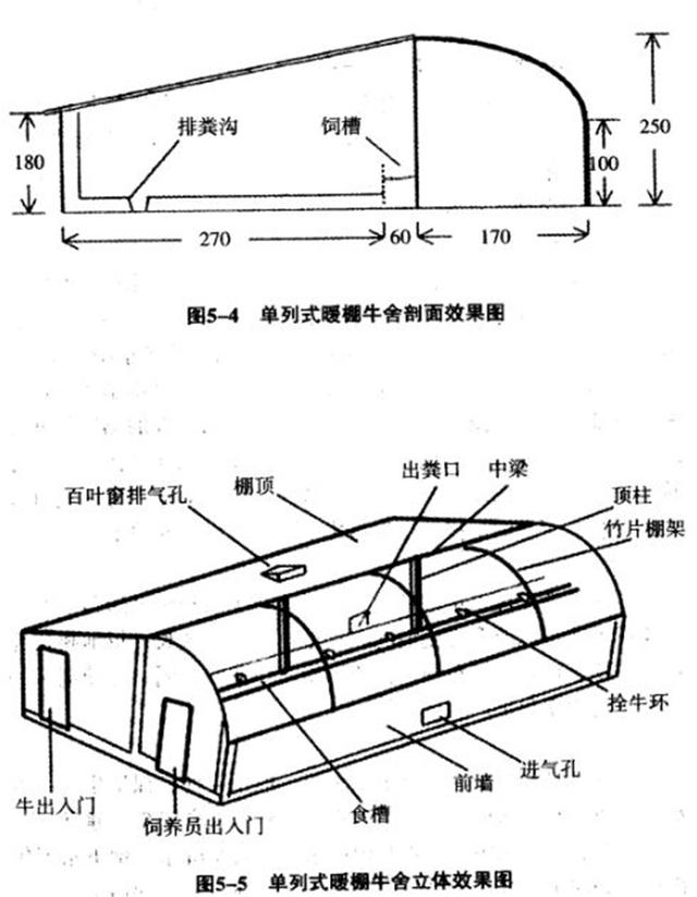 养牛场设计和建设方案