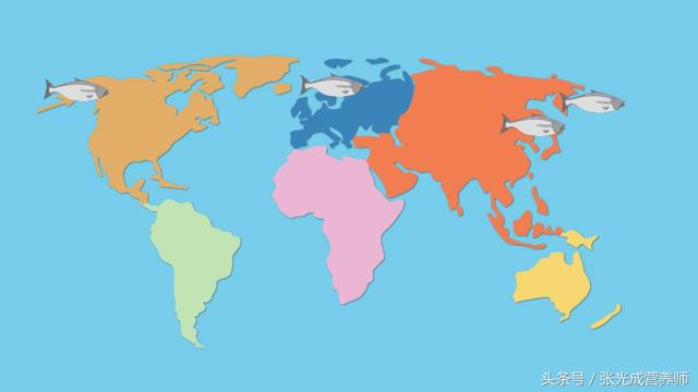 国产三文鱼、淡水三文鱼、进口三文鱼都有何区别？