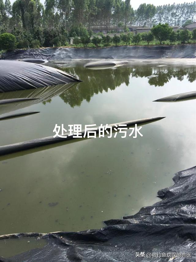 养殖场大量存留的污水臭气熏天、污染环境该如何处理？