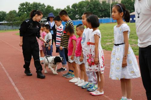 无言的战友！实地探访北京市公安局警犬基地