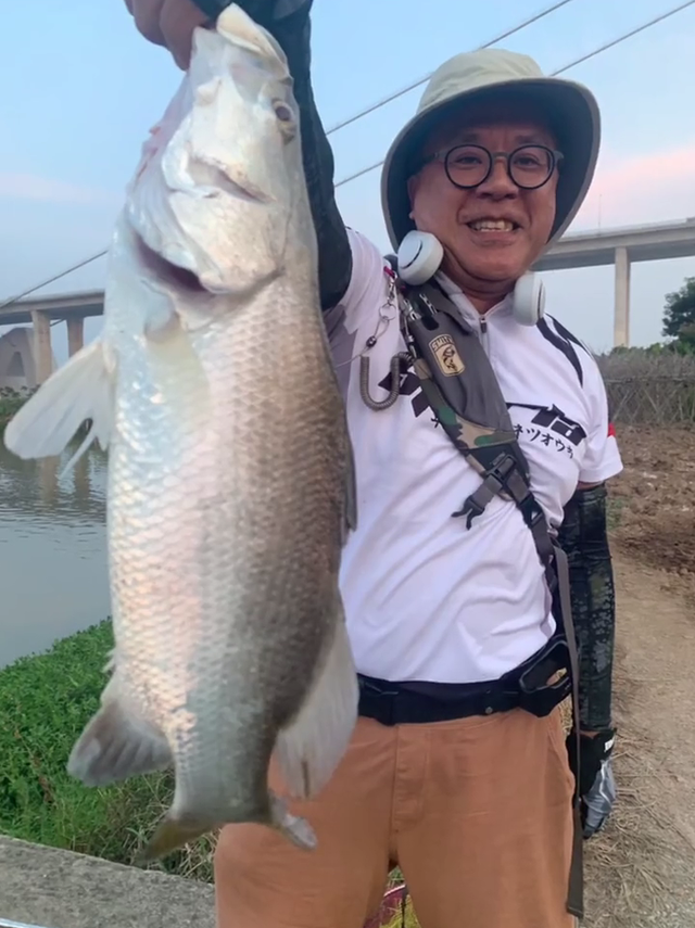 尼罗河尖吻鲈入侵茂名河道，钓鱼人：很多人钓到了