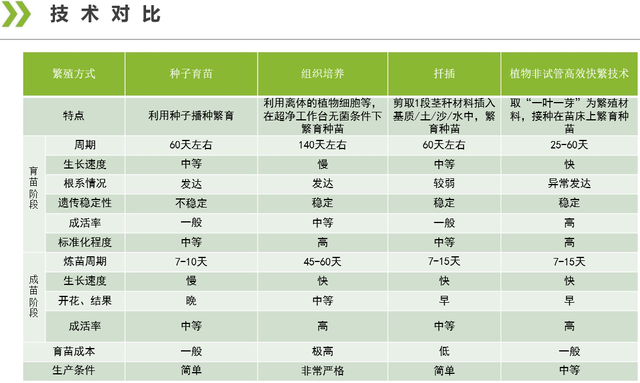 生物柴油树种—黄连木可用植物非试管高效快繁技术快繁