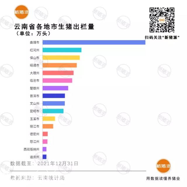 养猪黑马！2021年云南出栏4192万头全国第五，巨头扎堆布局1500万产能