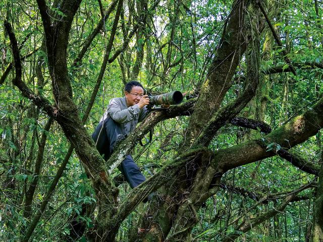 秘境之美：影像中的野生动物保护