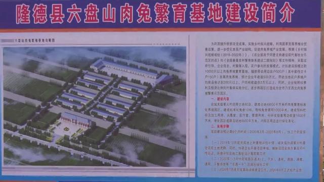 隆德县万只肉兔繁育基地开工建设