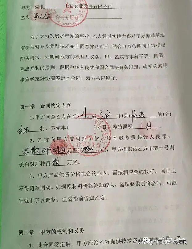 谁养谁死？这个养殖新模式很坑人？