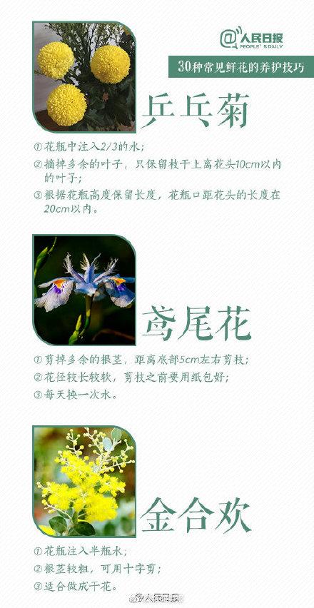 30种入门级鲜花养护技巧