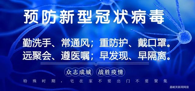 「双促双增·推进乡村全面振兴」养只“怪物鸡”鸡蛋变“金蛋”