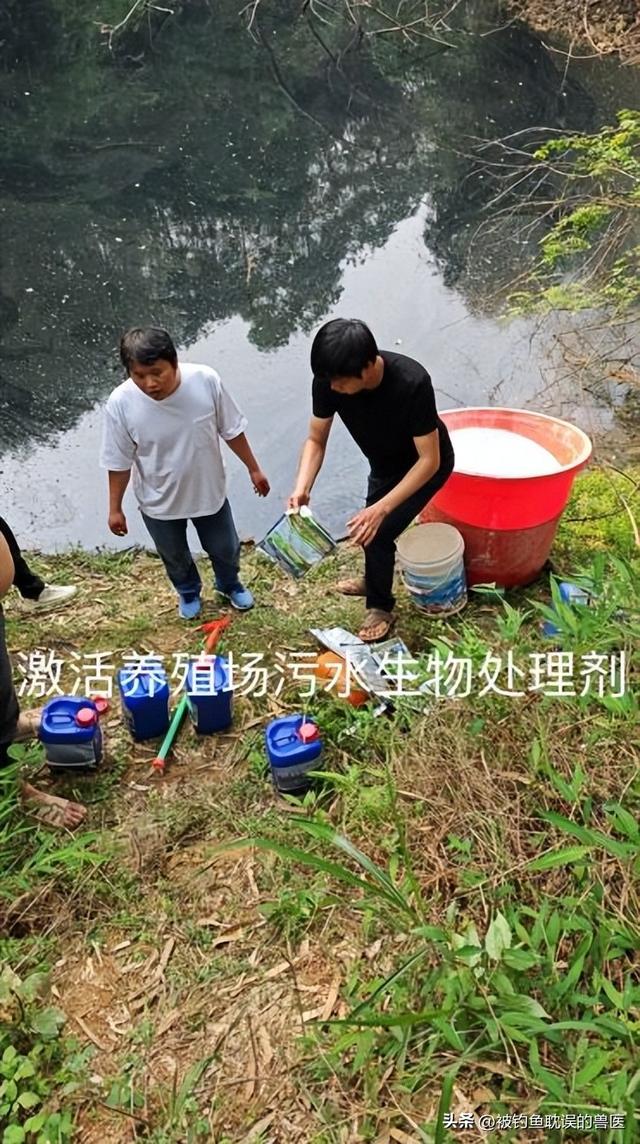 养殖场大量存留的污水臭气熏天、污染环境该如何处理？