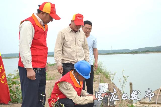 江苏宝应：现代化养殖设备“一键启动”，小渔村迈入电气化时代