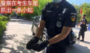 阜阳蝎子养殖(考生遭遇怪事不仅忘带证，还碰到了蛇与蝎子，好在有警察叔叔……)