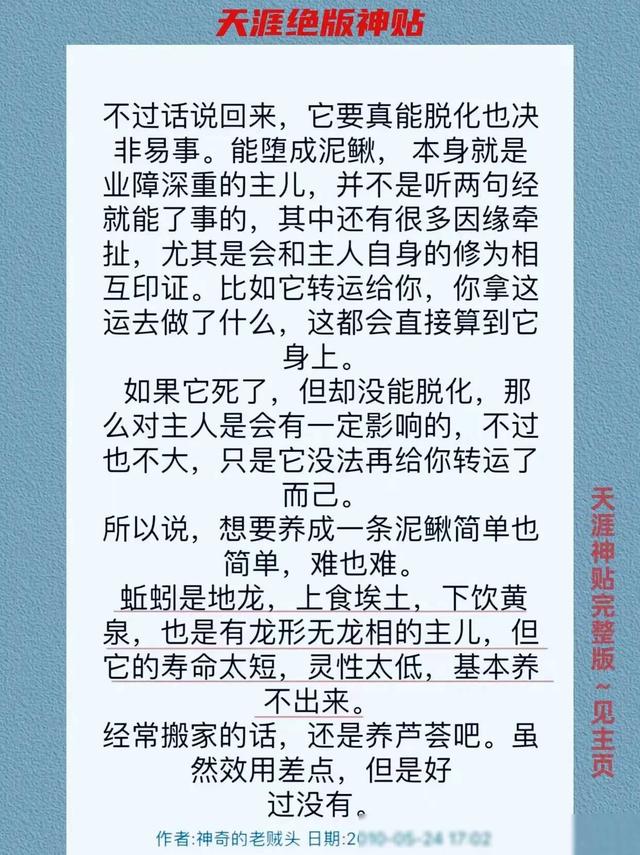 如果你没钱，那就养只泥鳅转运。天涯论坛曾经有一篇帖子讲的是