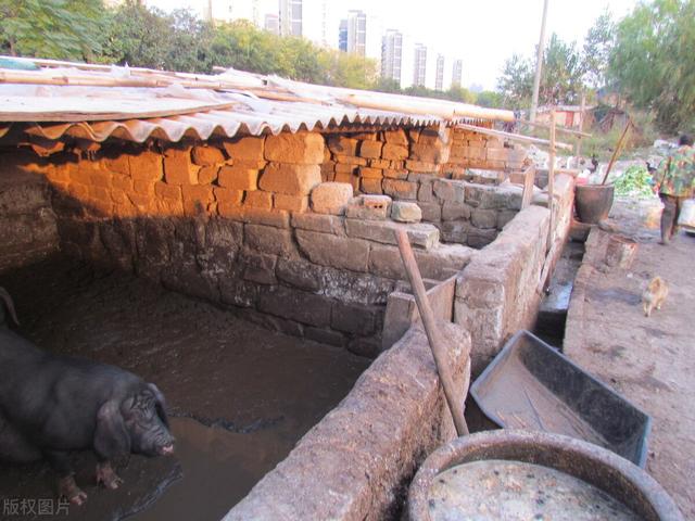 养殖场被关停，应该怎么补偿？拆迁律师这么说