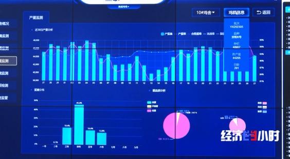 “智能模式”养鸡场 1人1年养20万只鸡 怎么做到的？