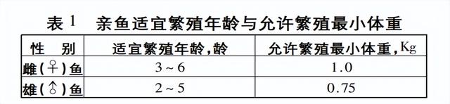 关键技术揭秘：黄河鲤池塘养殖技术要点