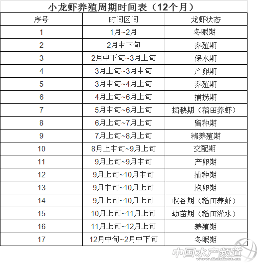 小龙虾养殖周期时间表及小龙虾养殖七大误区