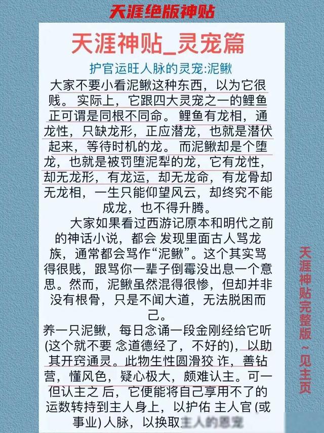 如果你没钱，那就养只泥鳅转运。天涯论坛曾经有一篇帖子讲的是