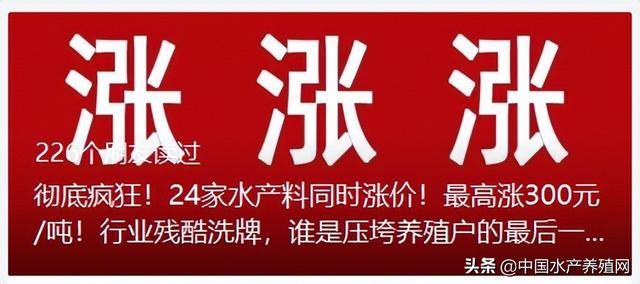 缺斤少两的饲料厂曝光！饲料发霉、久泡不散 别在质量重量上动手脚