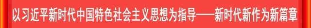 「双促双增·推进乡村全面振兴」养只“怪物鸡”鸡蛋变“金蛋”