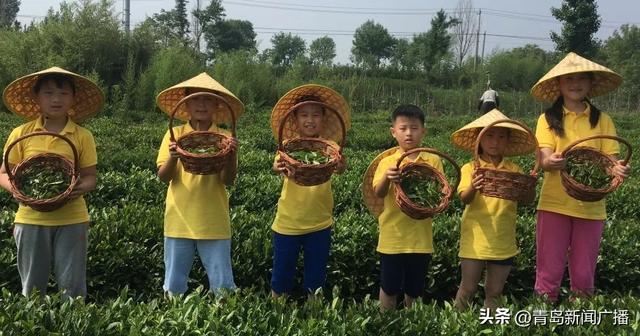 20家！青岛评定首批市级生态农场