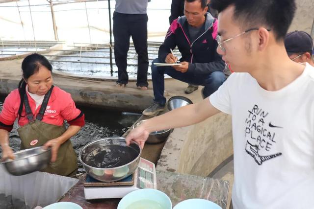 佛山蓝科正在谋划一份产业链蓝图