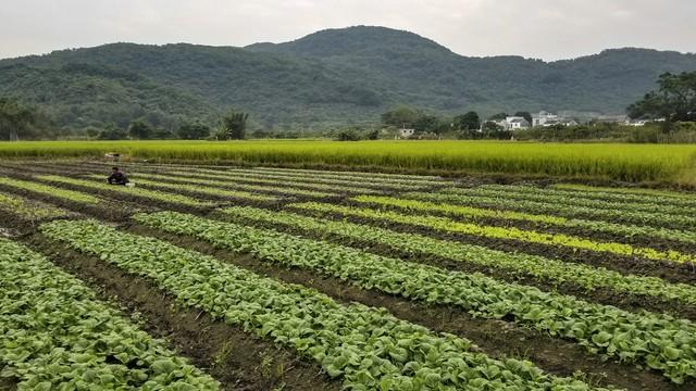 种植和养殖之间的协调关系与利用