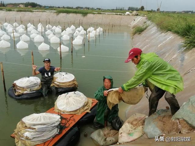 水蛭养殖敲开致富门