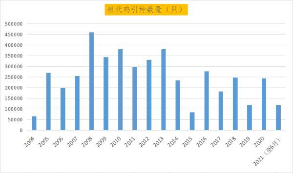 中国蛋鸡40年：四大育种困境待突破，未来20年是黄金期