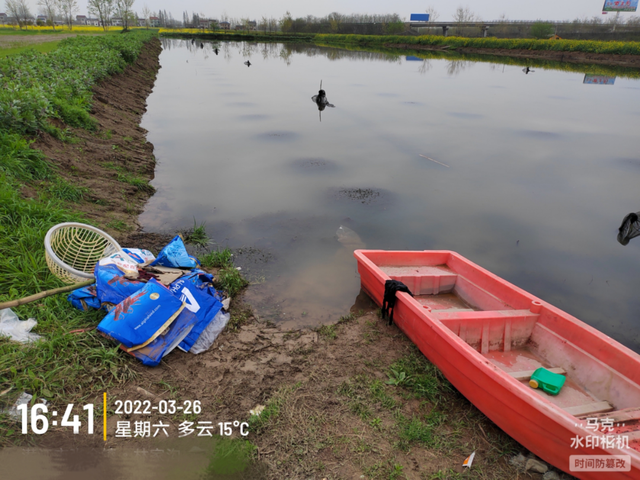 成本增，效益减！湖北小龙虾养殖新变化！饲料动保厂家的机会来了