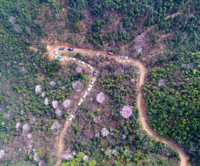 “蚂蚁探路”周功斌为村庄探新路：大山里的速度与激情