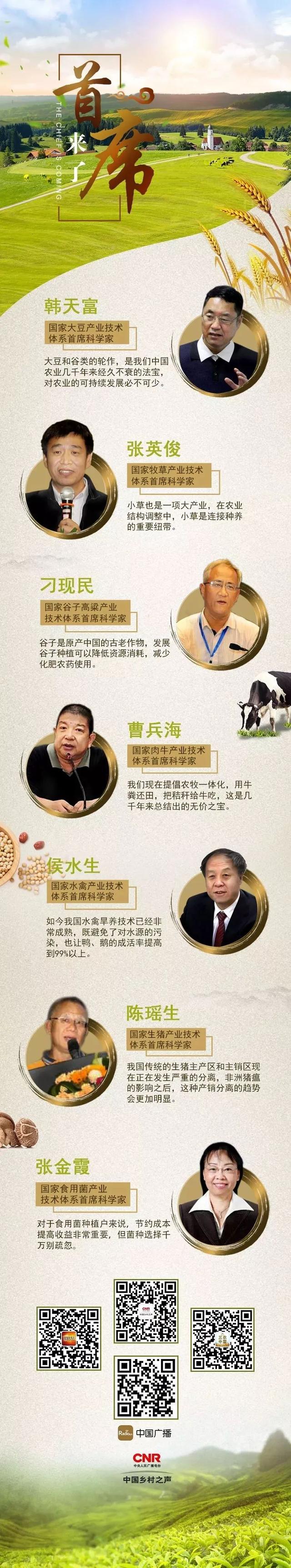 首席大咖说｜如何养殖能够实现肉牛效益的最大化？