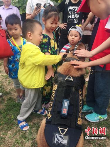 无言的战友！实地探访北京市公安局警犬基地