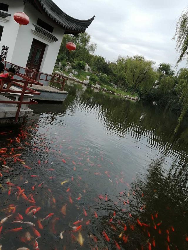 秋日好风光，带着俩宝潍坊安丘青云山半日游，大宝第一次体验漂流