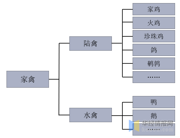 2021年家禽行业发展现状，行业规模稳定增长，家禽养殖规模化发展