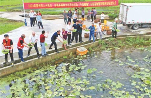 “万亩螺塘”助脱贫