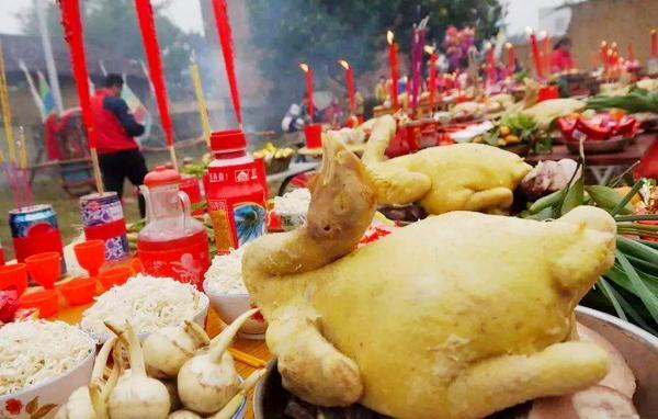 食材分享｜探秘年味，龙门胡须鸡，让你领略广东新年的味道