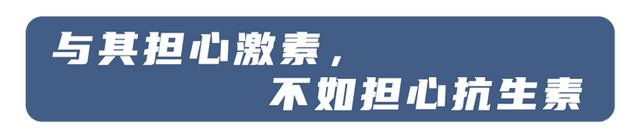 40天出栏的速成鸡，含有大量激素，有害还致癌？不敢吃的人看看吧