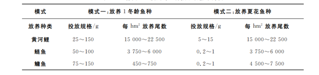 关键技术揭秘：黄河鲤池塘养殖技术要点