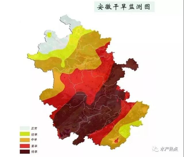 持续干旱引发苗价暴涨？未必！除了早苗，谁还会买高价苗？