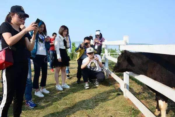 传统养殖彻底被颠覆！农牧旅游成为农业新经济