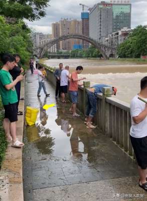 银鲴鱼养殖(湖南郴州河水猛涨，钓鱼人成桶捞老鼠鱼送人，这种鱼钓鱼人不吃)