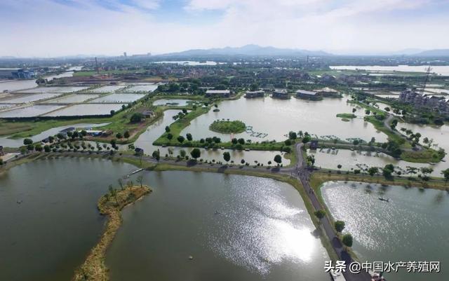 水产绿色健康养殖“五大行动”看这里